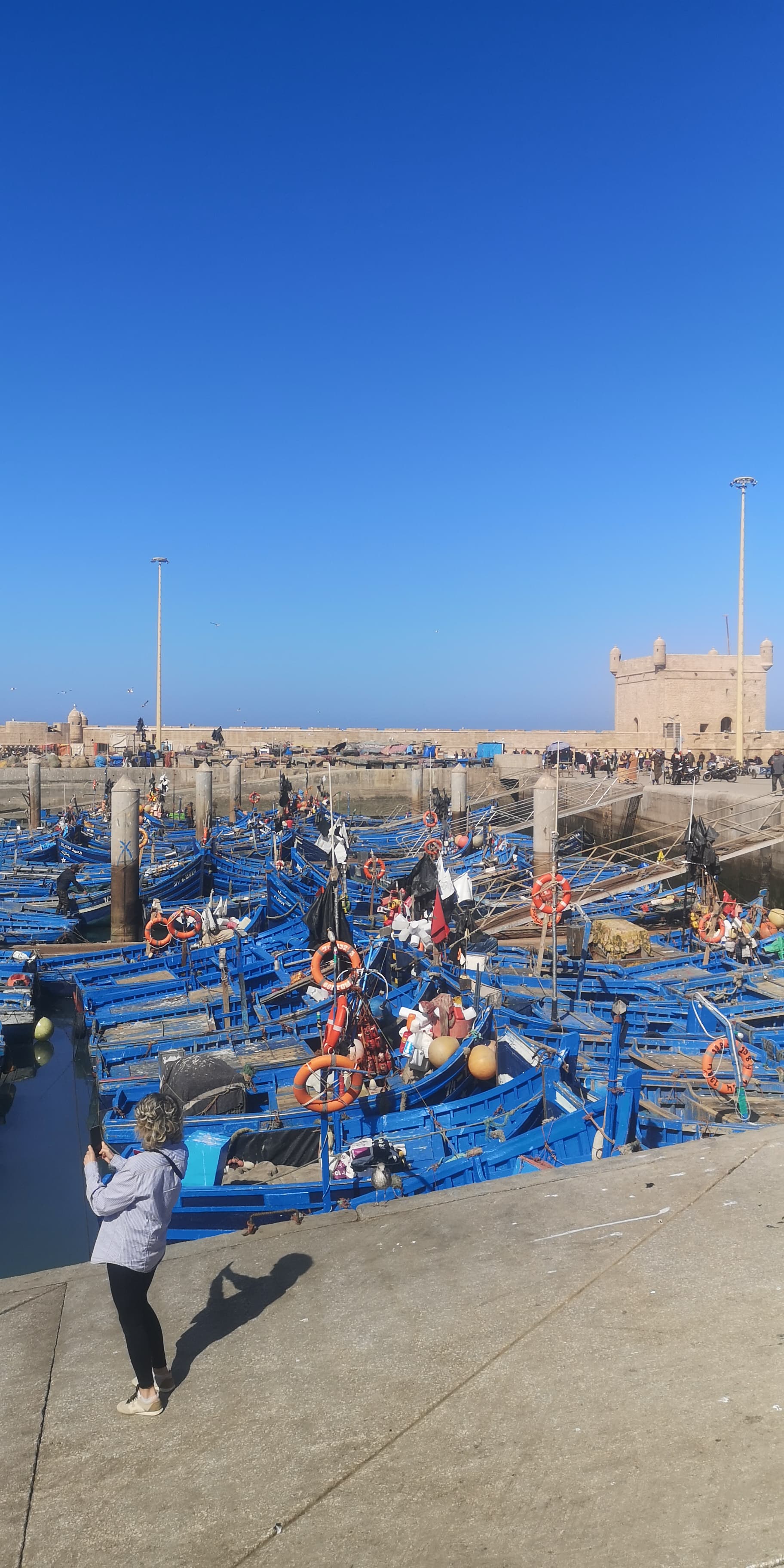Excursion  essaouira Day Trip from Marrakech | Coastal Excursion – Merrakechy Tours - Marrakech Morocco